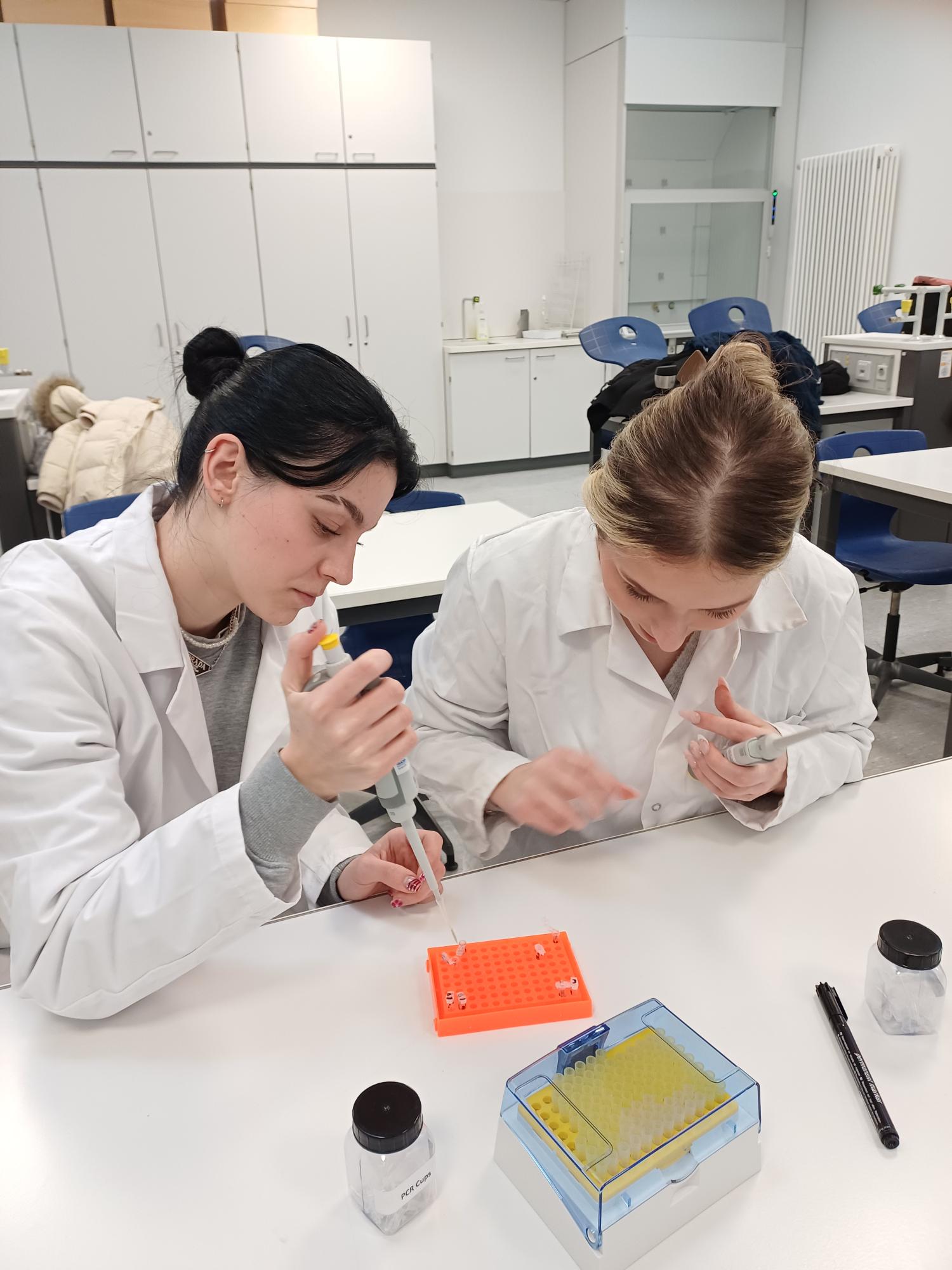 „Bin ich ein Schmecker oder eher ein Nicht-Schmecker der Bitterstoffe im Rosenkohl?“